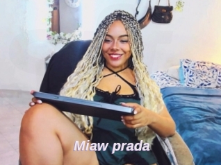 Miaw_prada