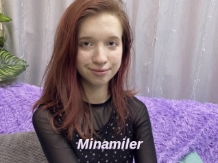 Minamiler