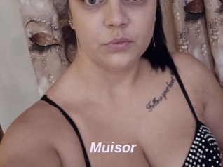 Muisor