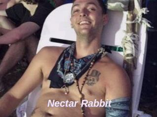 Nectar_Rabbit