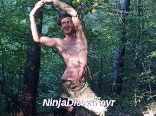 NinjaDickstroyr