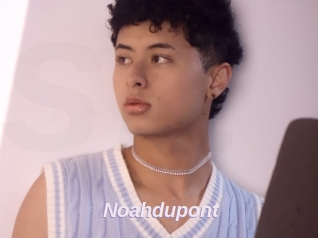 Noahdupont