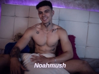 Noahmush