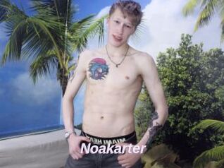 Noakarter