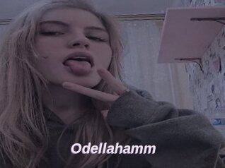 Odellahamm