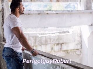 PerfectguyRobert