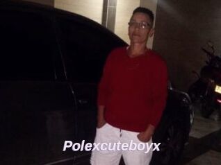 Polexcuteboyx