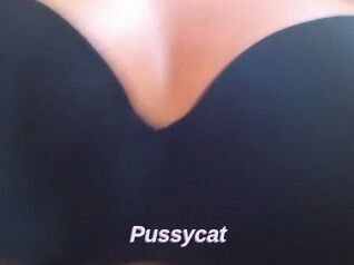 Pussycat