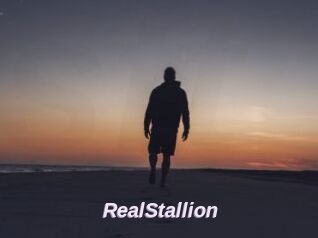 RealStallion