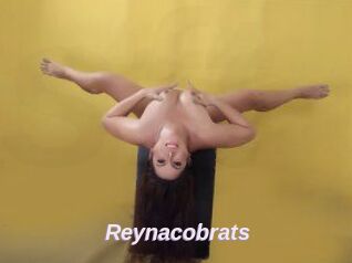 Reynacobrats