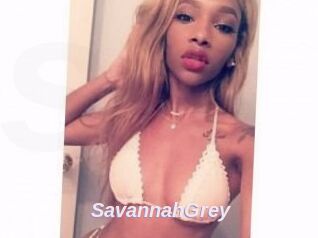 Savannah_Grey