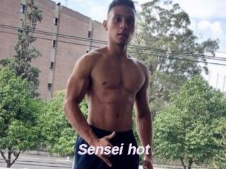 Sensei_hot