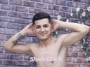 ShaneBlack