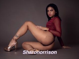 Sharonorrison