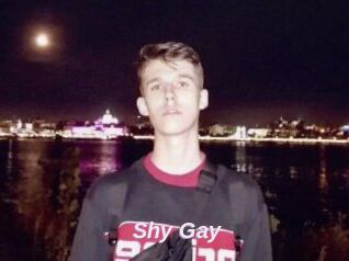 Shy_Gay