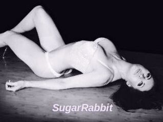 SugarRabbit