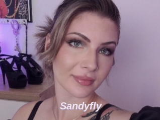 Sandyfly