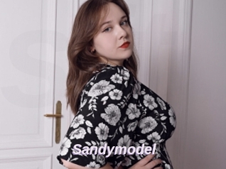 Sandymodel