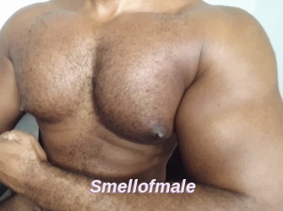 Smellofmale