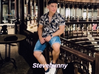 Stevebunny