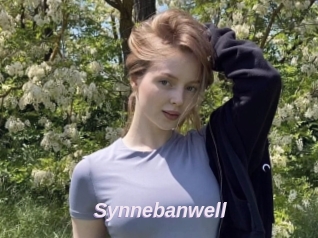 Synnebanwell