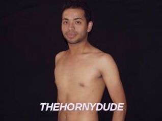 THEHORNYDUDE