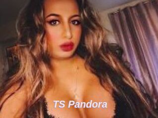 TS_Pandora