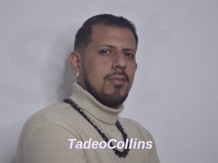 TadeoCollins