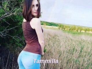 Tammilla_