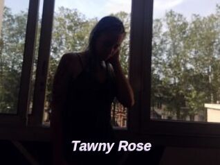 Tawny_Rose