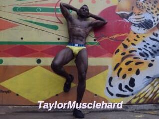 TaylorMusclehard