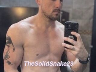 TheSolidSnake23