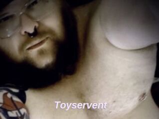 Toyservent