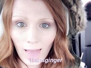 Transginger