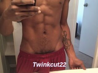 Twinkcut22