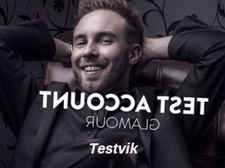 Testvik