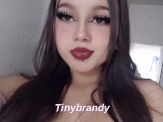 Tinybrandy