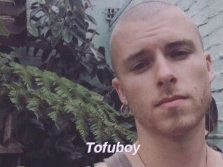 Tofu_boy