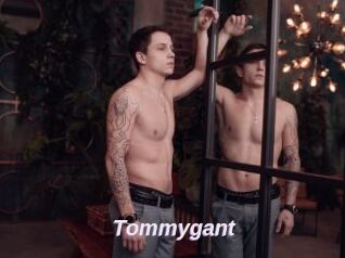 Tommygant