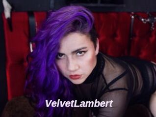 VelvetLambert