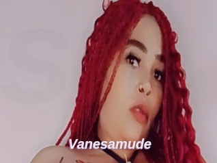 Vanesamude