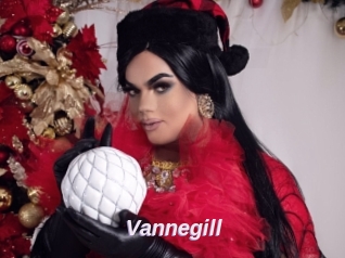 Vannegill