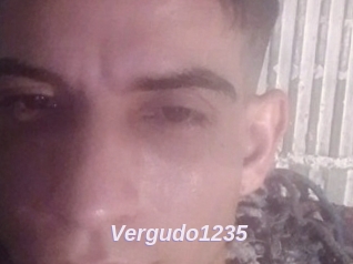 Vergudo1235