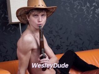 WesleyDude