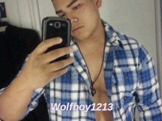 Wolfboy1213