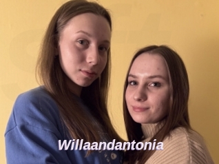 Willaandantonia