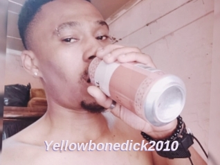 Yellowbonedick2010